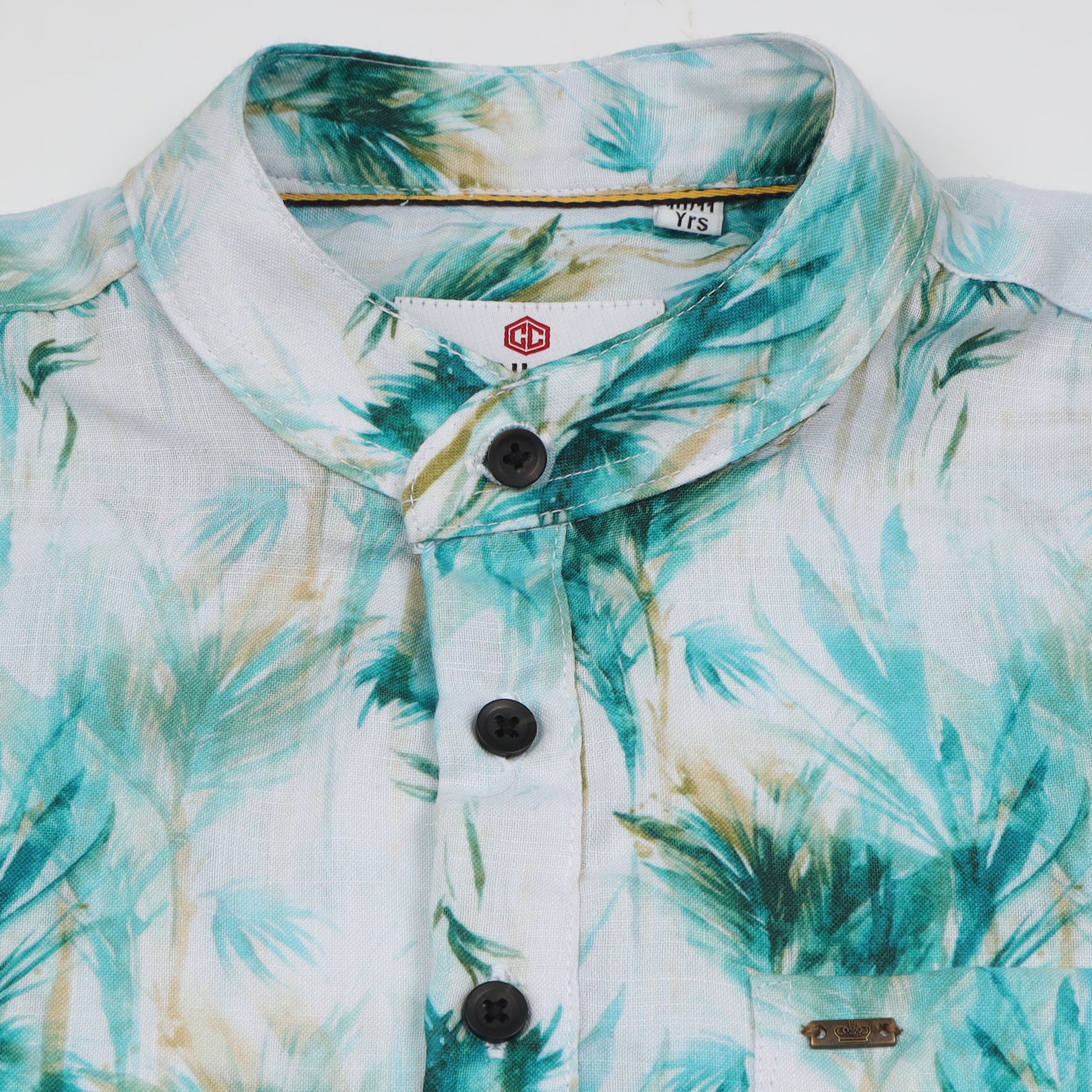 Sia Green Colour Poplin Lycra Printed Shirt for Boys